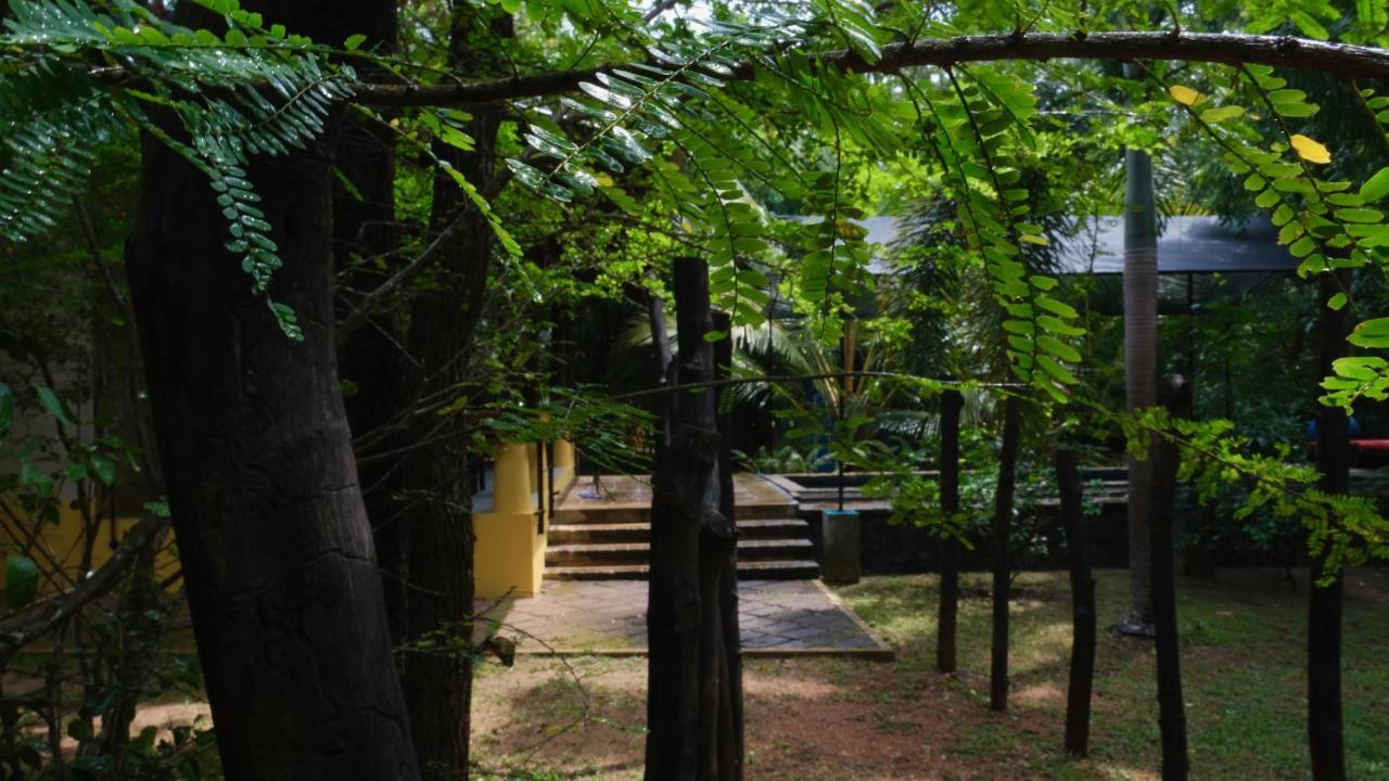 Mind Body And Soul Otel Dambulla Dış mekan fotoğraf